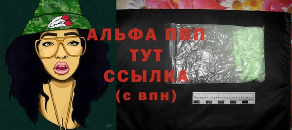 хмурый Верея