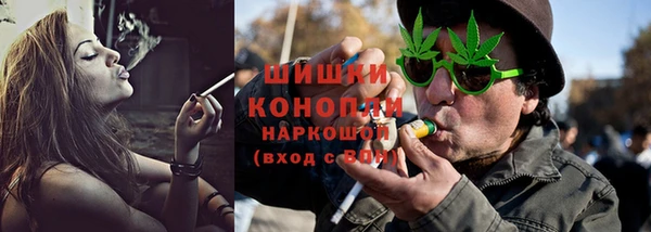 хмурый Верея