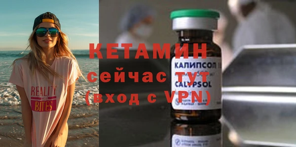хмурый Верея