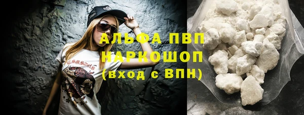 хмурый Верея