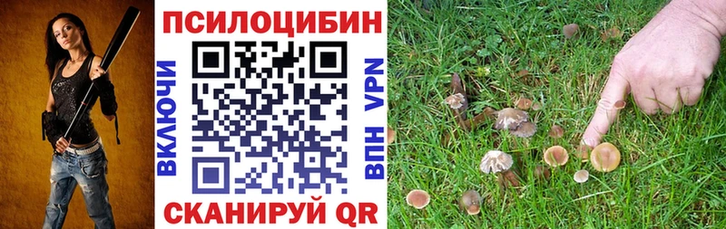 Галлюциногенные грибы Psilocybine cubensis  Купить закладки  Сковородино 